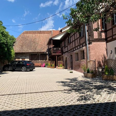 Doux Refuge Avec Terrasse Parking Gratuit Apartment Beblenheim Ngoại thất bức ảnh