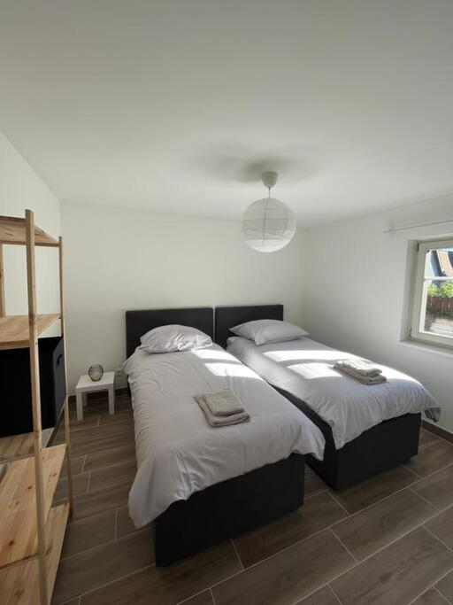 Doux Refuge Avec Terrasse Parking Gratuit Apartment Beblenheim Ngoại thất bức ảnh