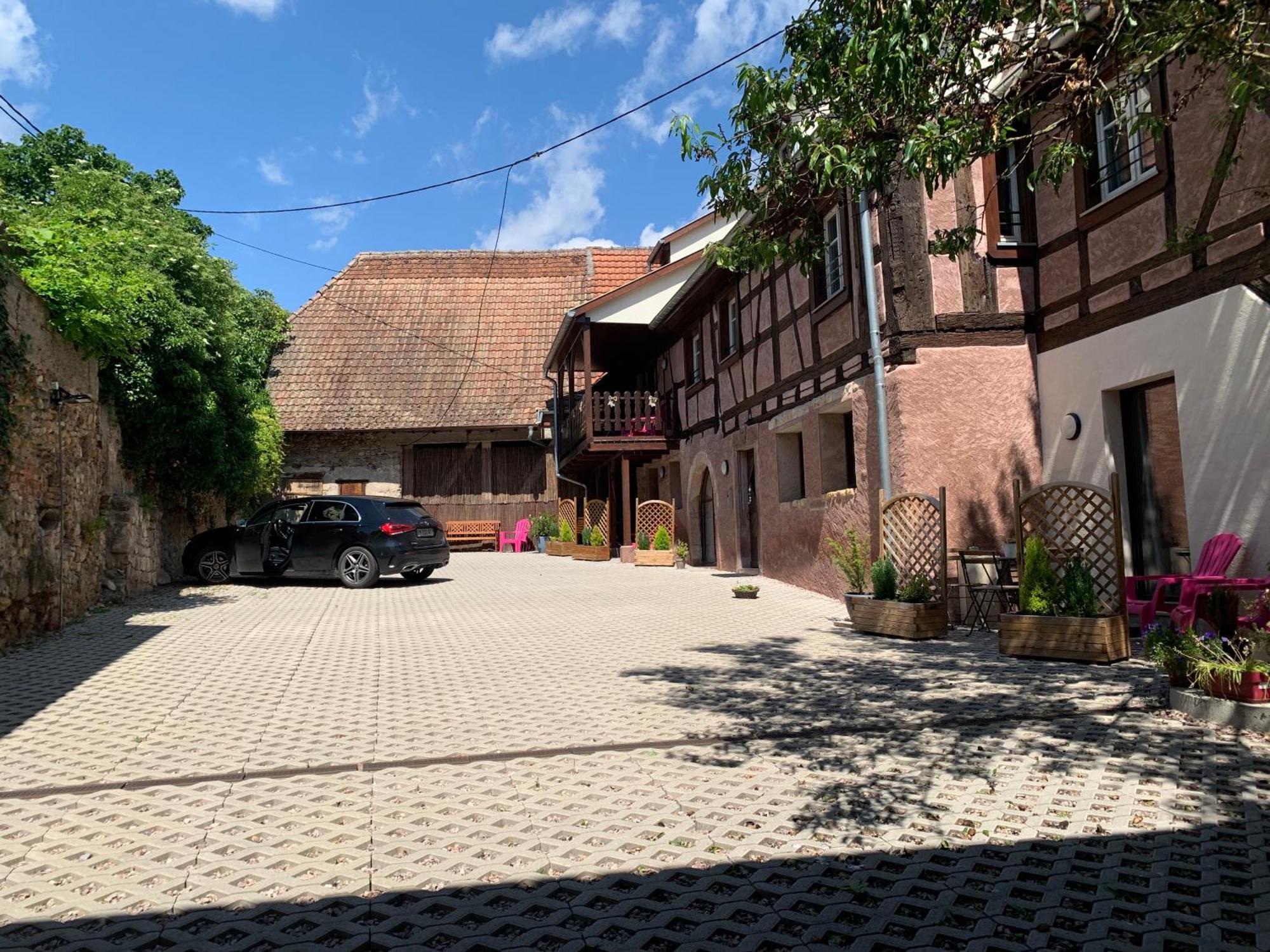 Doux Refuge Avec Terrasse Parking Gratuit Apartment Beblenheim Ngoại thất bức ảnh